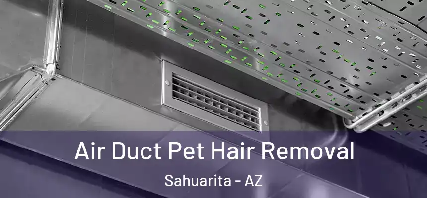  Air Duct Pet Hair Removal Sahuarita - AZ
