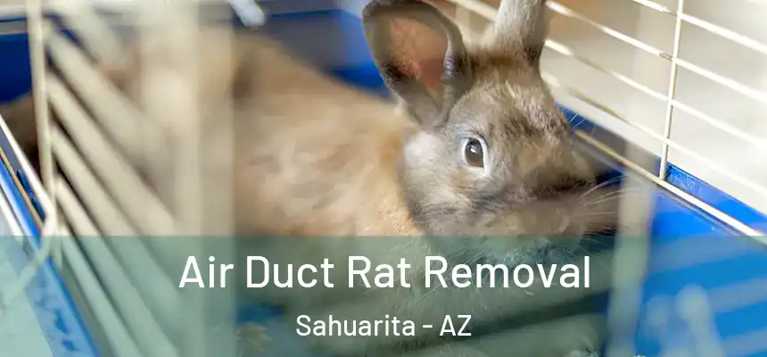 Air Duct Rat Removal Sahuarita - AZ