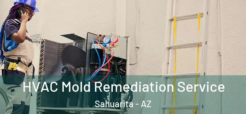  HVAC Mold Remediation Service Sahuarita - AZ