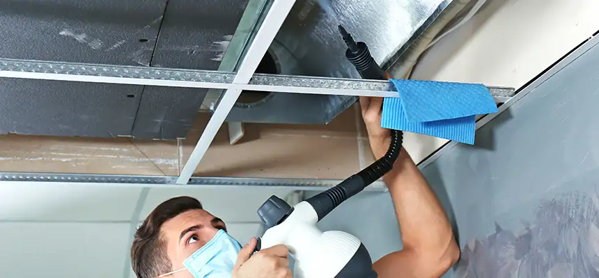 Our Air Duct Rodent Removal Services in Sahuarita, AZ