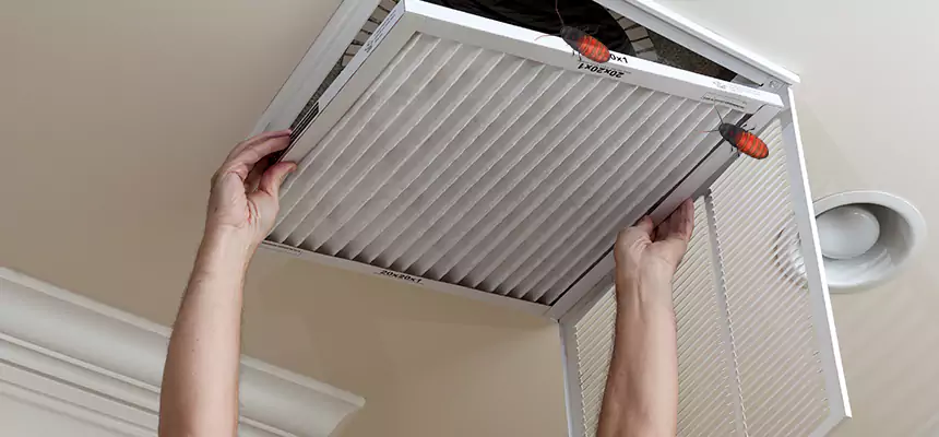 Our Insect Removal from Air Ducts Services in Sahuarita, AZ