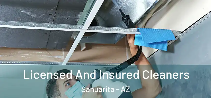  Licensed And Insured Cleaners Sahuarita - AZ