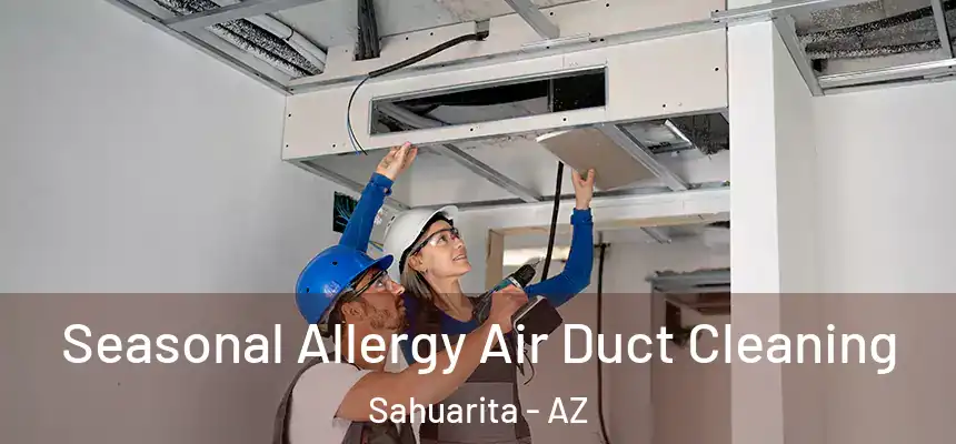  Seasonal Allergy Air Duct Cleaning Sahuarita - AZ