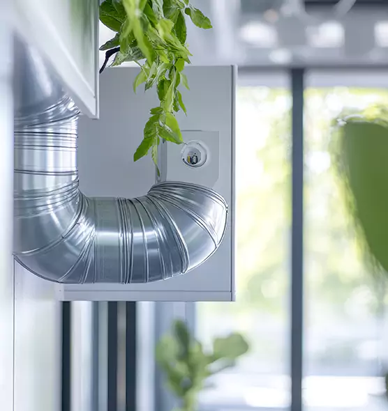 Professional Eco-Safe Dryer Vent Cleaning in Sahuarita, AZ