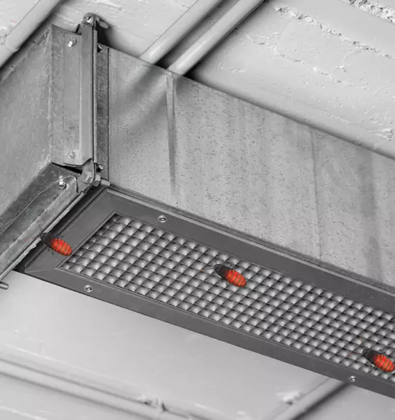 Affordable Insect Removal from Air Ducts in Sahuarita, AZ