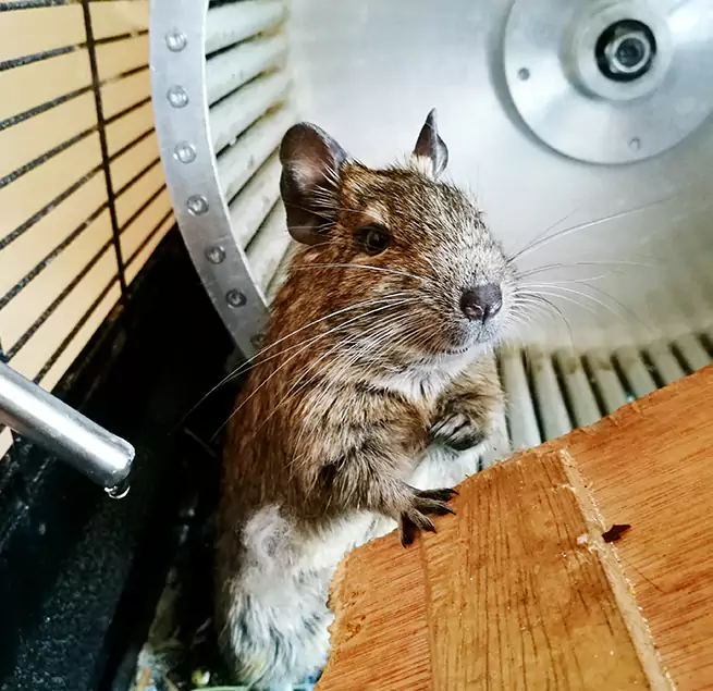 Why Homeowners & Businesses Trust Us Sahuarita, AZ