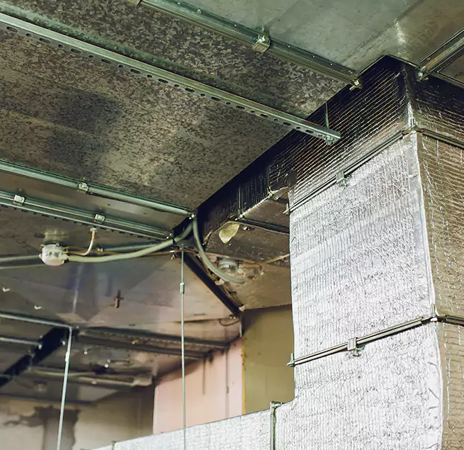 Why Homeowners & Businesses Trust Us in Sahuarita, AZ?