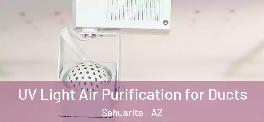  UV Light Air Purification for Ducts Sahuarita - AZ